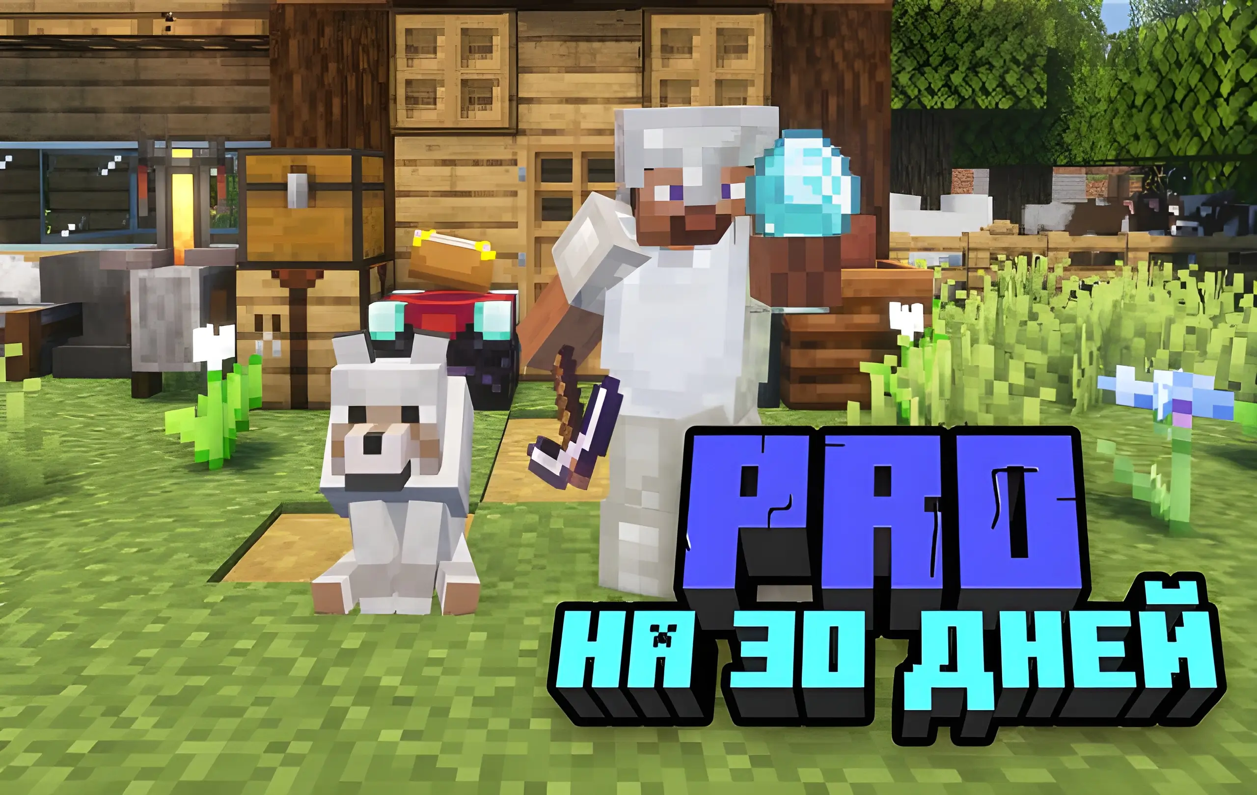 Pro на 30 дней