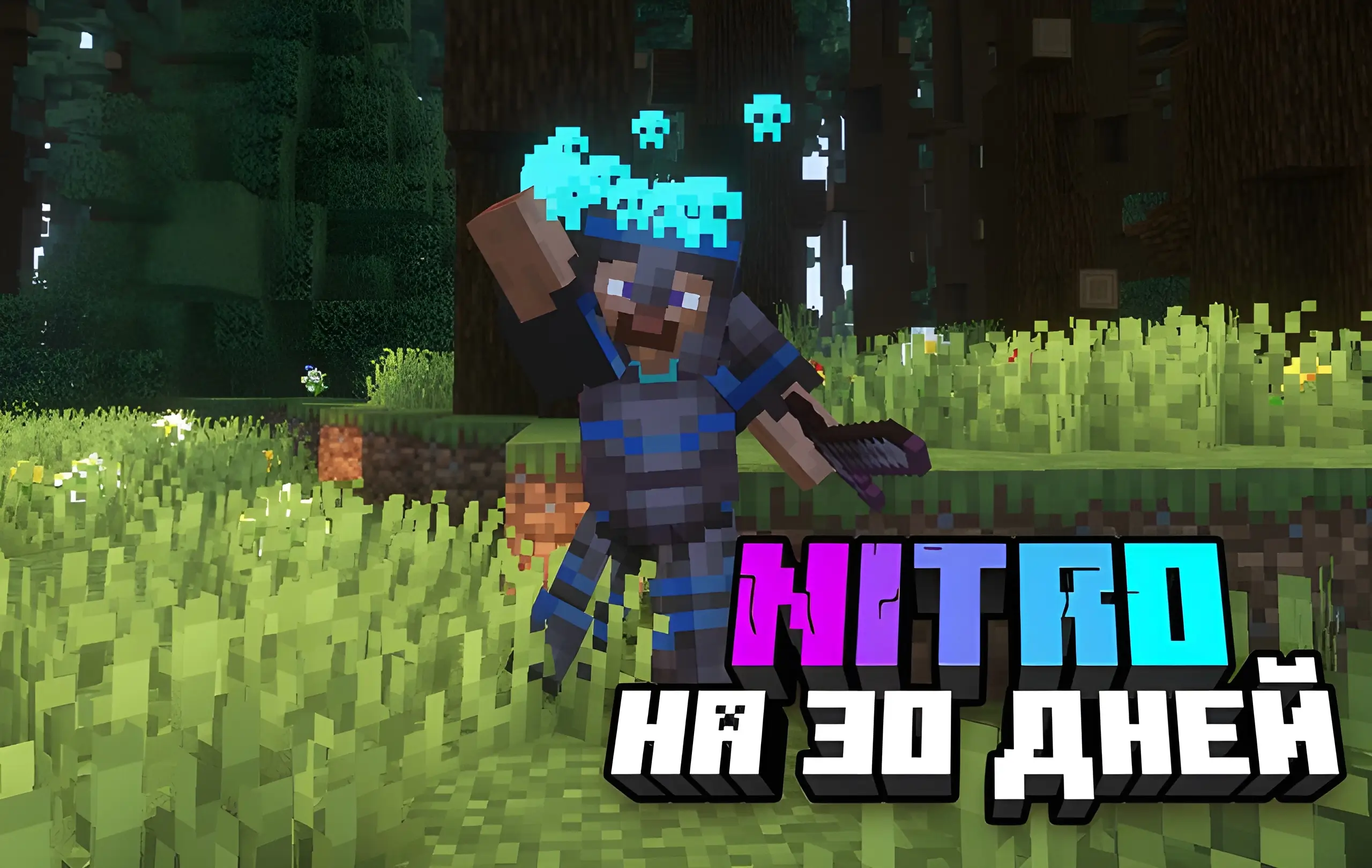Nitro на 30 дней