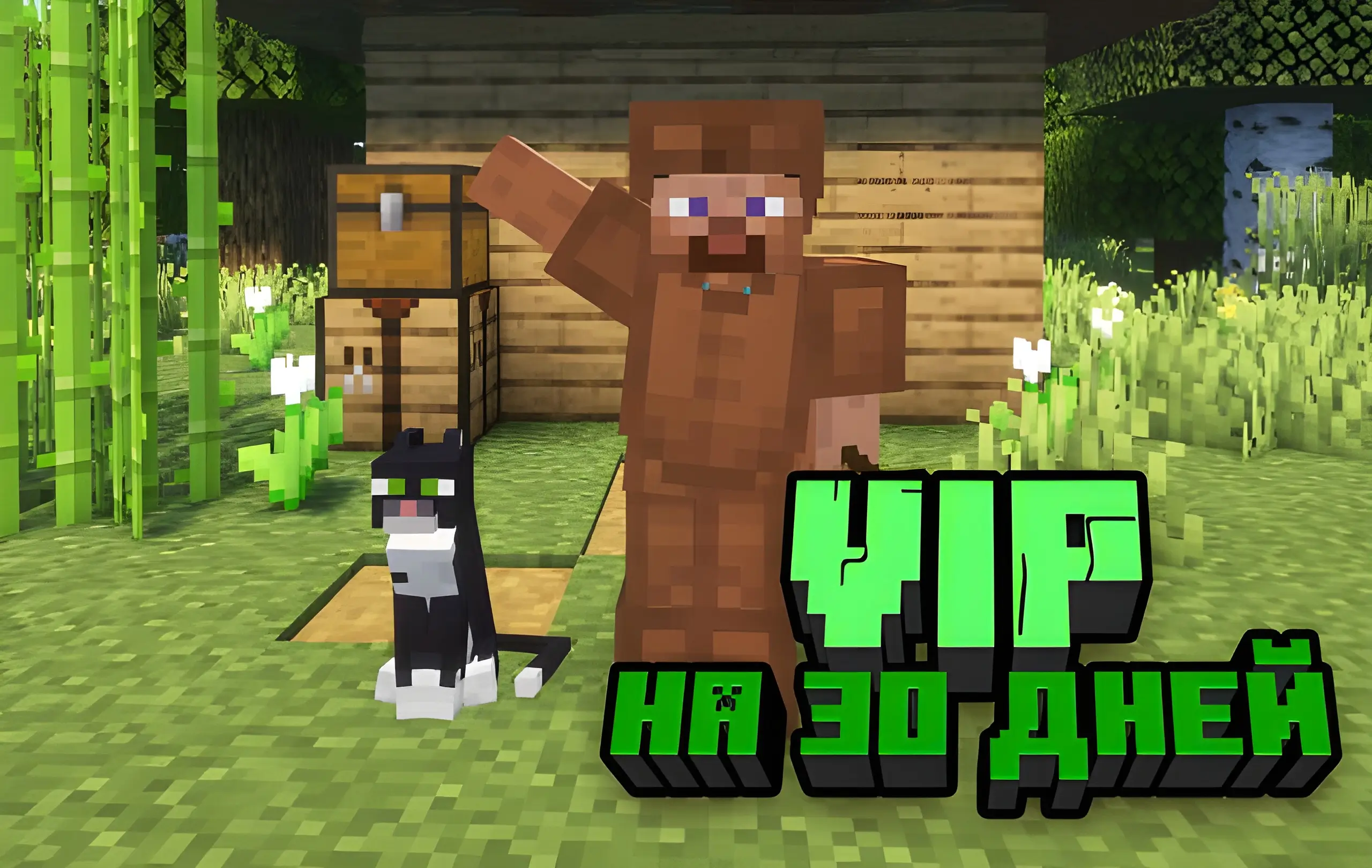 Vip на 30 дней
