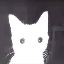 Cod_E