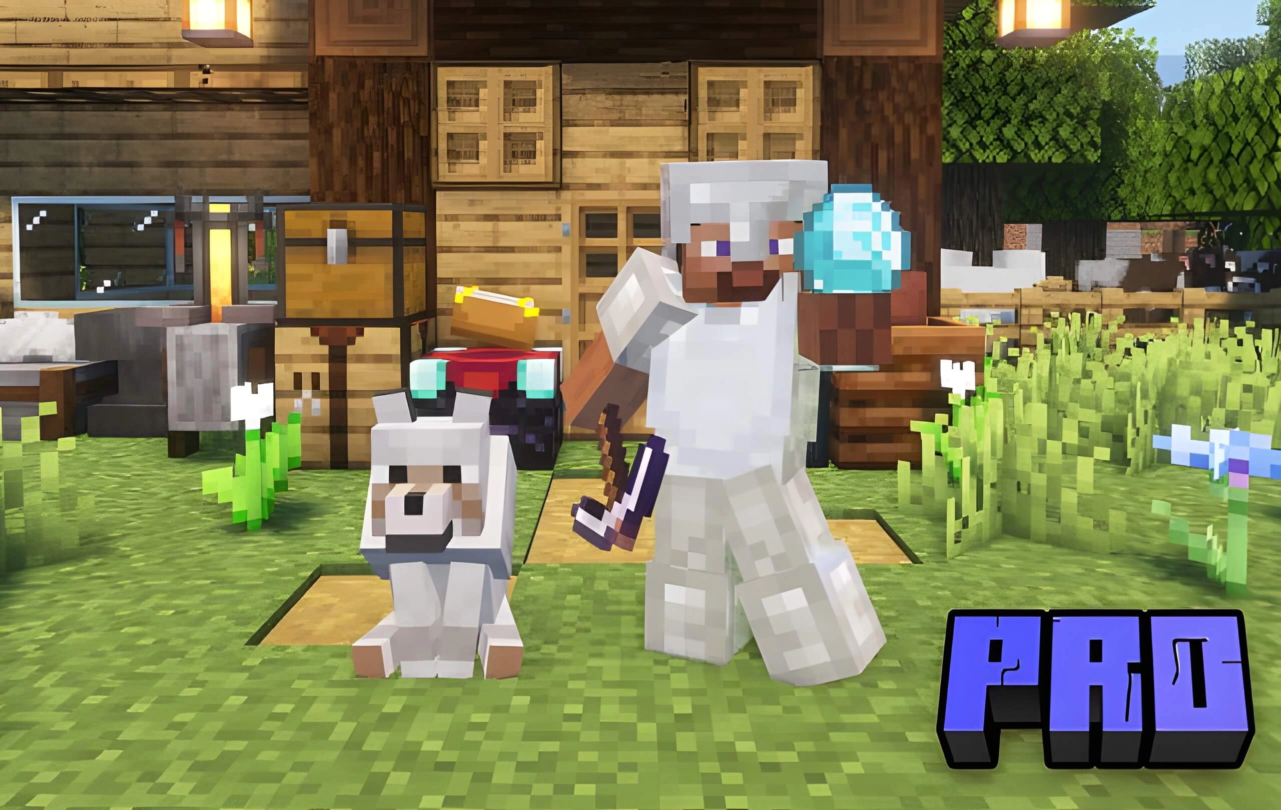 Статус Профессионал (Pro)