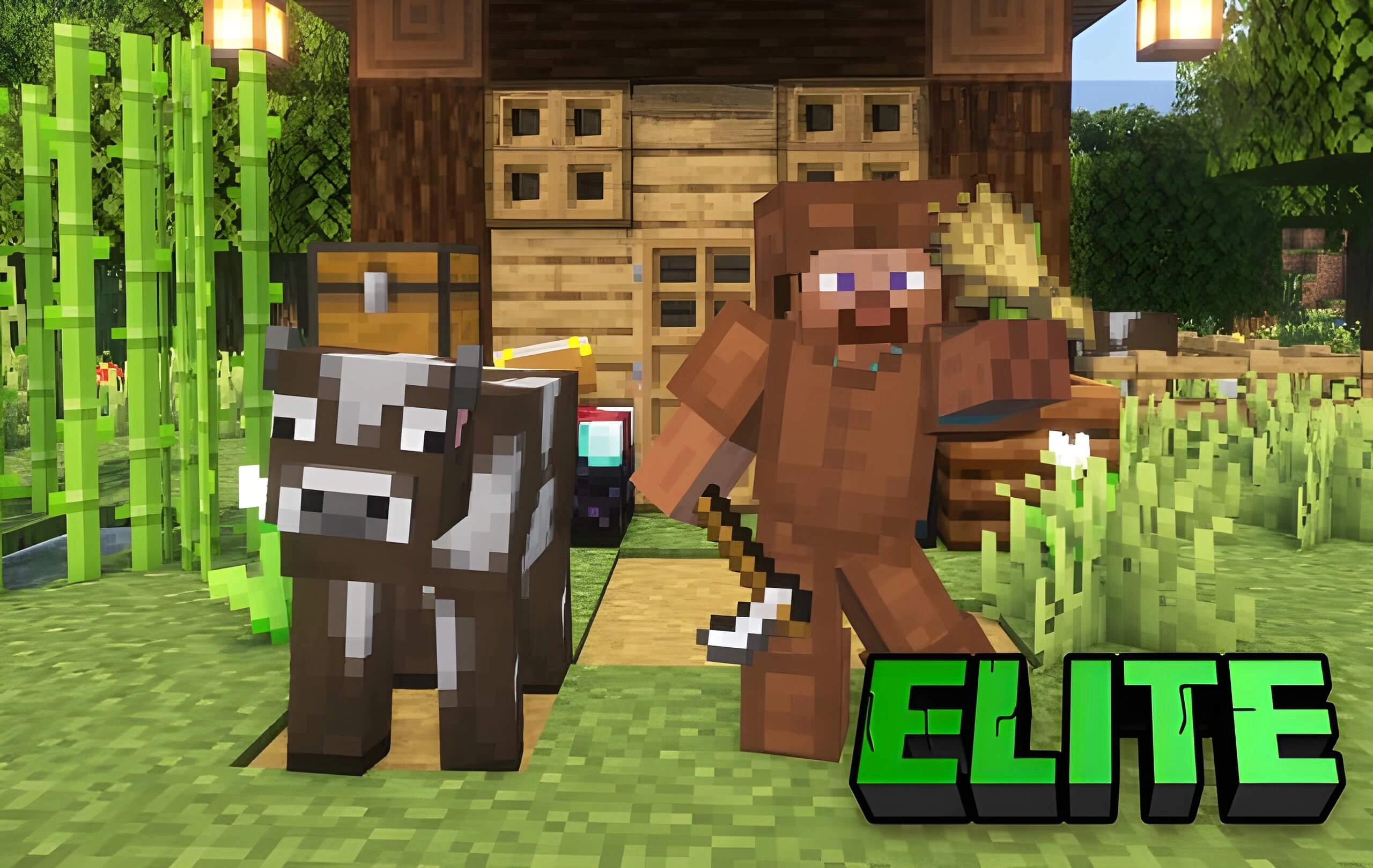 Статус Элита (Elite)