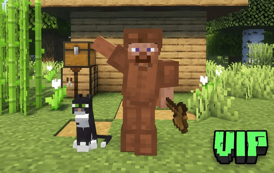 Статус ВИП (VIP)