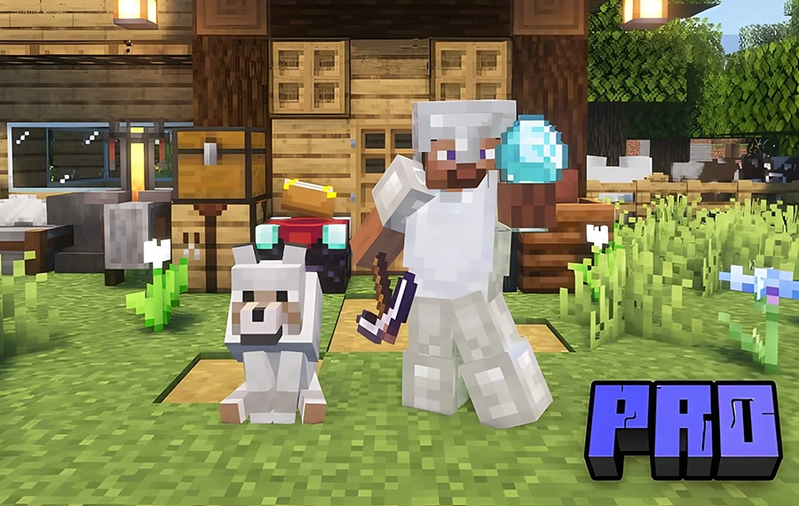 Статус Профессионал (Pro)